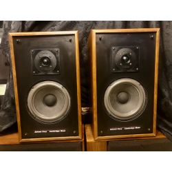 Advent 3002 Sospensione di ricambio per woofer in foam bordo