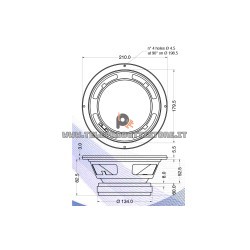 Montarbo AS250 Woofer altoparlante compatibile 8 ohm AS-250 W210P