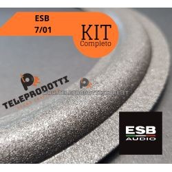 copy of ESB 7-05 KIT Sospensioni di riparazione per woofer midrange in foam bordo e colla 7 05 7/05 705 Teleprodotti 1 - Telepro