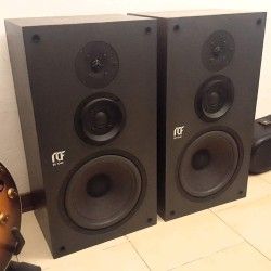 RCF BR1040 Sospensione di ricambio per woofer in foam bordo BR 1040 BR-1040