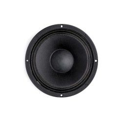 B&C Speakers 10HPL51 8 ohm woofer altoparlante 10" neodimio 300W 10HPL51-8