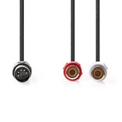 Cavo adattatore audio DIN 5 poli maschio 2 prese RCA femmina convertitore