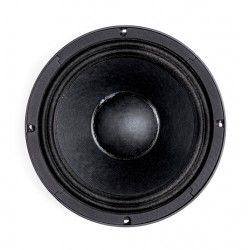 B&C Speakers 10PS26 8 ohm woofer altoparlante 10" ferrite 700W 10PS26-8