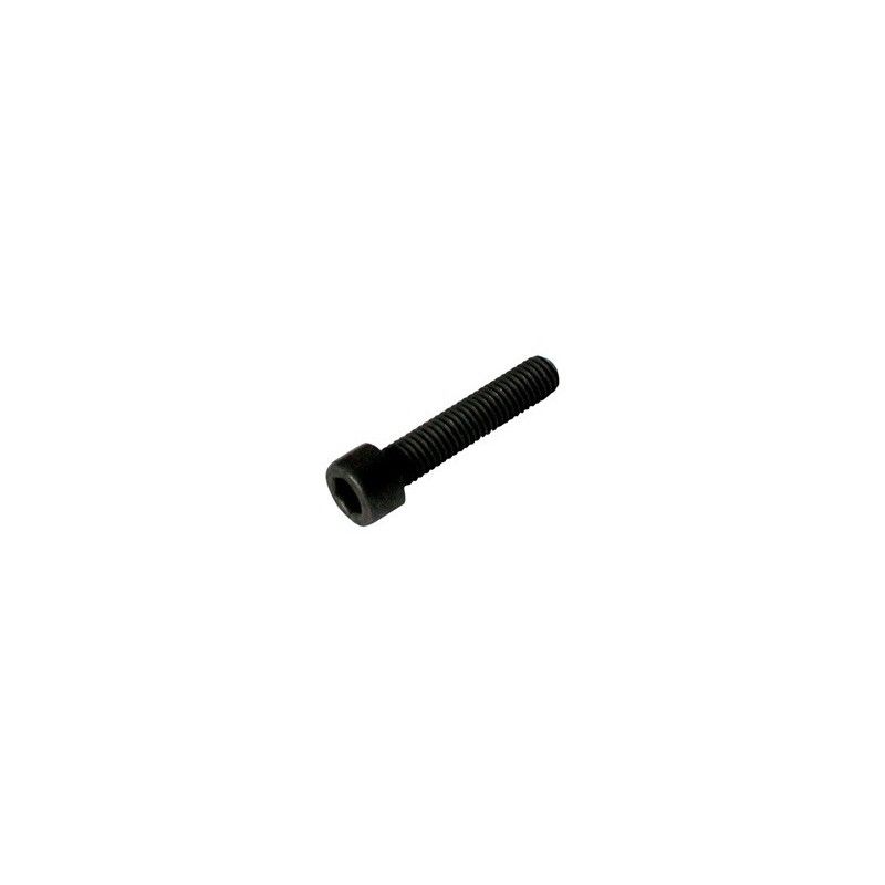 YAC240 Ciare kit viti perni M6 10 pezzi nero per inserti woofer casse acustiche vite perno