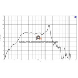 B&C Speakers 12BG100 8 ohm woofer altoparlante 12" neodimio 2000W 12BG100-8