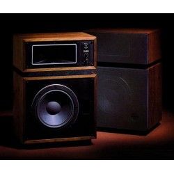 Altec Lansing 14 Fourteen Sospensione di ricambio per woofer in foam bordo