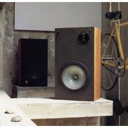 INFINITY RSA Sospensione di ricambio per woofer in foam bordo RSA