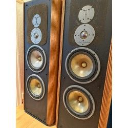 Infinity RS3A Sospensione di ricambio per woofer in foam bordo RS-3A