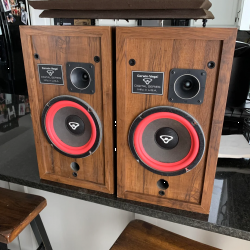 Cerwin Vega D1 KIT Sospensioni di riparazione per woofer in foam bordo e colla