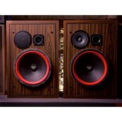 Cerwin Vega A123 KIT Sospensioni di riparazione per woofer in foam bordo e colla A 123 A-123