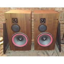 Cerwin Vega Model 313 KIT Sospensioni di riparazione per woofer in foam bordo e colla