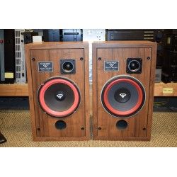 Cerwin Vega D2 KIT Sospensioni di riparazione per woofer in foam bordo e colla