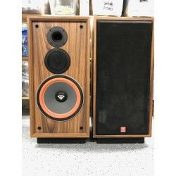Cerwin Vega DX3 KIT Sospensioni di riparazione per woofer in foam bordo e colla