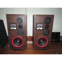 Cerwin Vega D7E KIT Sospensioni di riparazione per woofer in foam bordo e colla D7 E D7-E