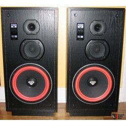 Cerwin Vega VS100 KIT Sospensioni di riparazione per woofer in foam bordo e colla