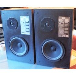 ESB CS-30 KIT Sospensioni di riparazione per woofer in foam bordo e colla CS30 CS 30