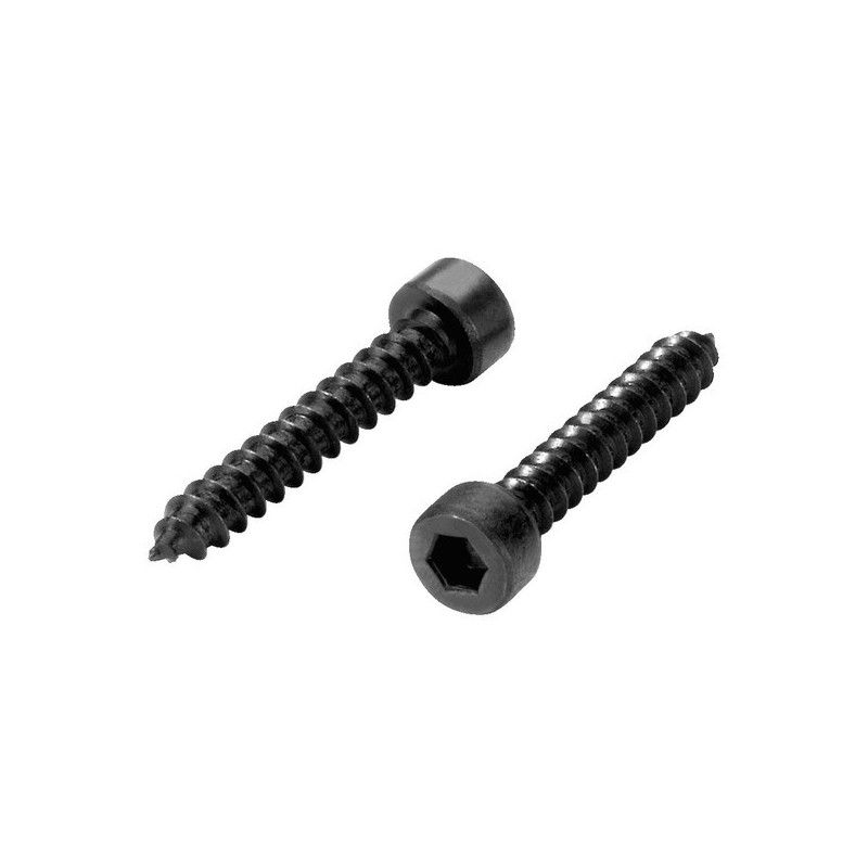 mzf-8616-viti-a-brugola-da-legno-4x25mm-per-casse-acustiche-kit-16-pezzi-monacor.jpg
