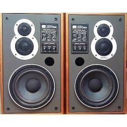 ESB DCM2004 Sospensione di ricambio per woofer 20 cm. in foam bordo DCM 2004 DCM-2004