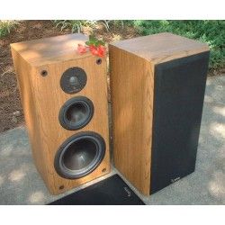 INFINITY Reference 3 Three III Sospensione di ricambio per woofer in foam bordo