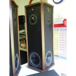 Allison ONE 1 Sospensione di ricambio per woofer in foam bordo
