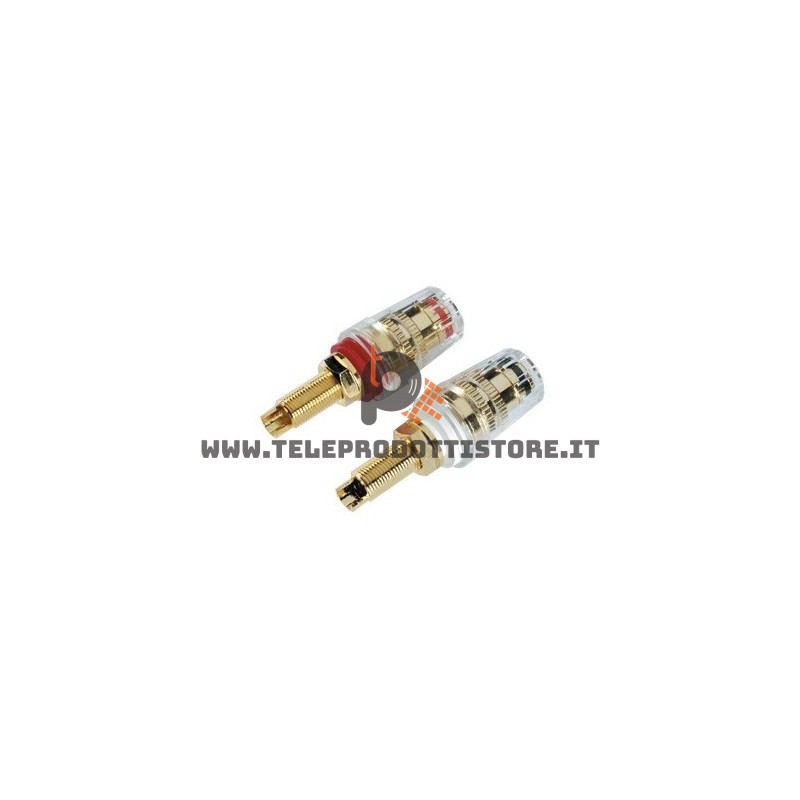 YCD304 Terminali connettori isolati da pannello CIARE per diffusori box casse