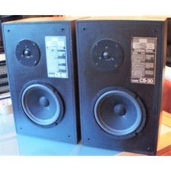 ESB CS-30 Sospensione di ricambio per woofer in foam bordo CS30 CS 30
