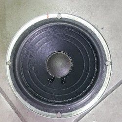 JBL 305G1 Sospensione di ricambio per midrange in foam bordo 305 G1