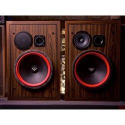 Cerwin Vega A123 Sospensione di ricambio per woofer 12" in foam rosso bordo A 123 A-123