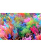 HOLI PARTY COLOR